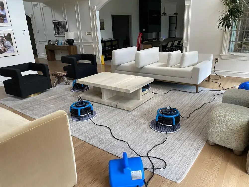 Living room area rug and hardwood floor drying with air movers after cleaning