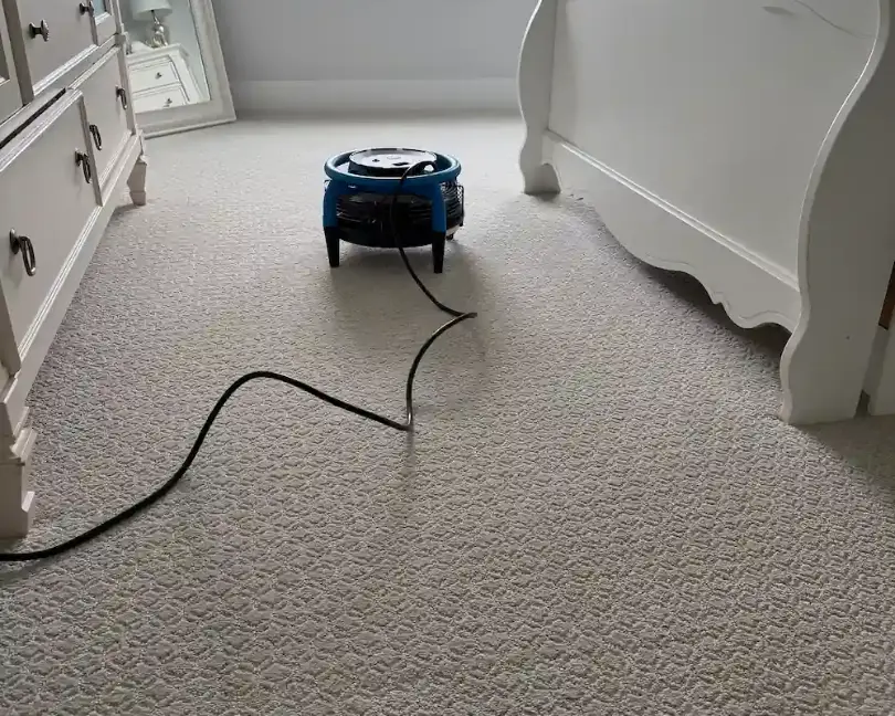 Carpet cleaning in a Monmouth County, NJ bedroom