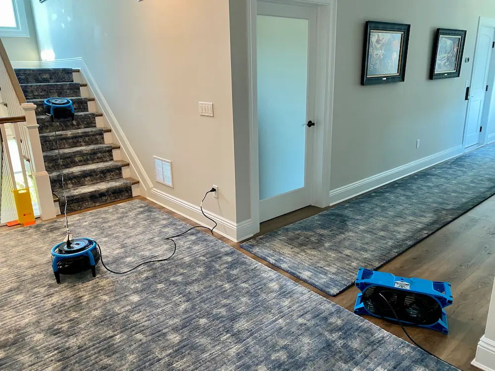 Cleaned area rugs and carpeted stairs drying with air movers