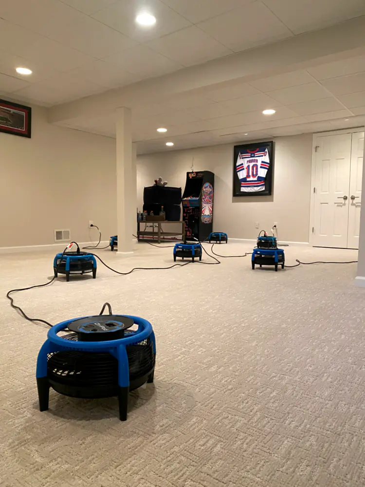 Finished basement carpet drying with air movers after cleaning