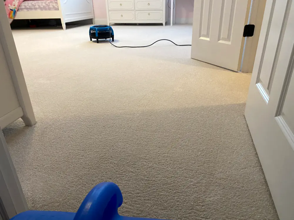 Child's bedroom carpet drying with an air mover after professional carpet cleaning in a Monmouth County, NJ home