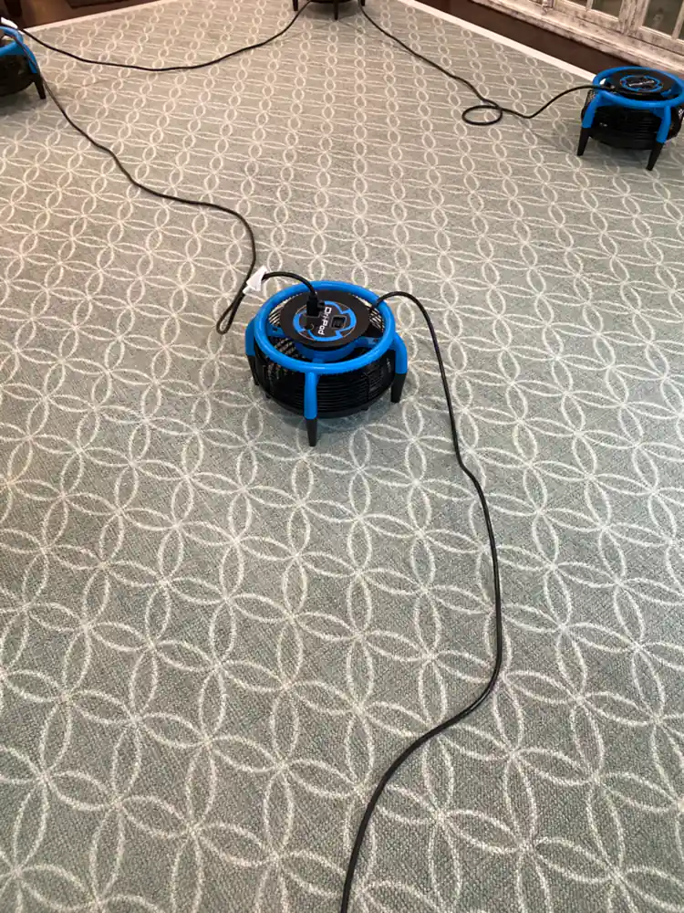 Patterned wall-to-wall carpet cleaning with drying equipment in a Monmouth County, NJ home