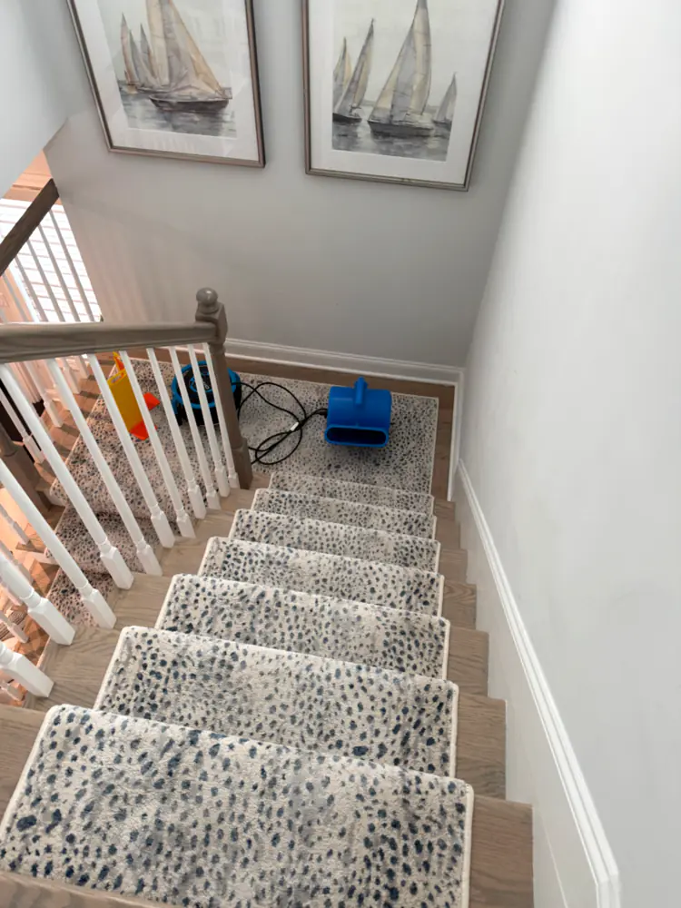 Patterned stair runner drying with an air mover after professional carpet cleaning in a Monmouth County, NJ home
