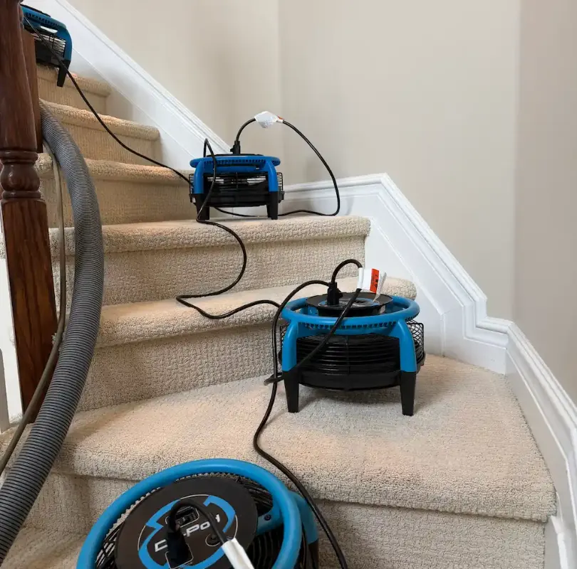 Carpeted staircase drying with air movers after cleaning