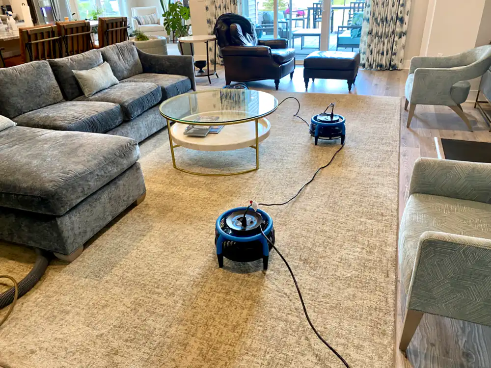 Open living room carpet drying with air movers after cleaning