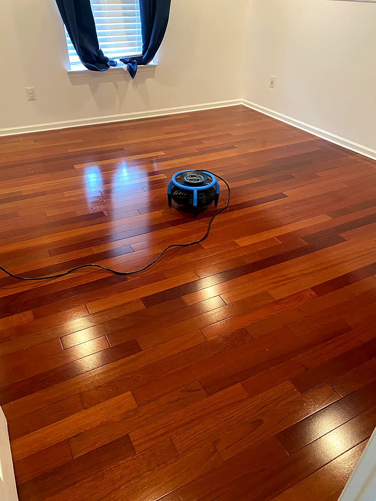 Hardwood floor with a renewed glossy finish drying after a screen and recoat in a Monmouth County, NJ home