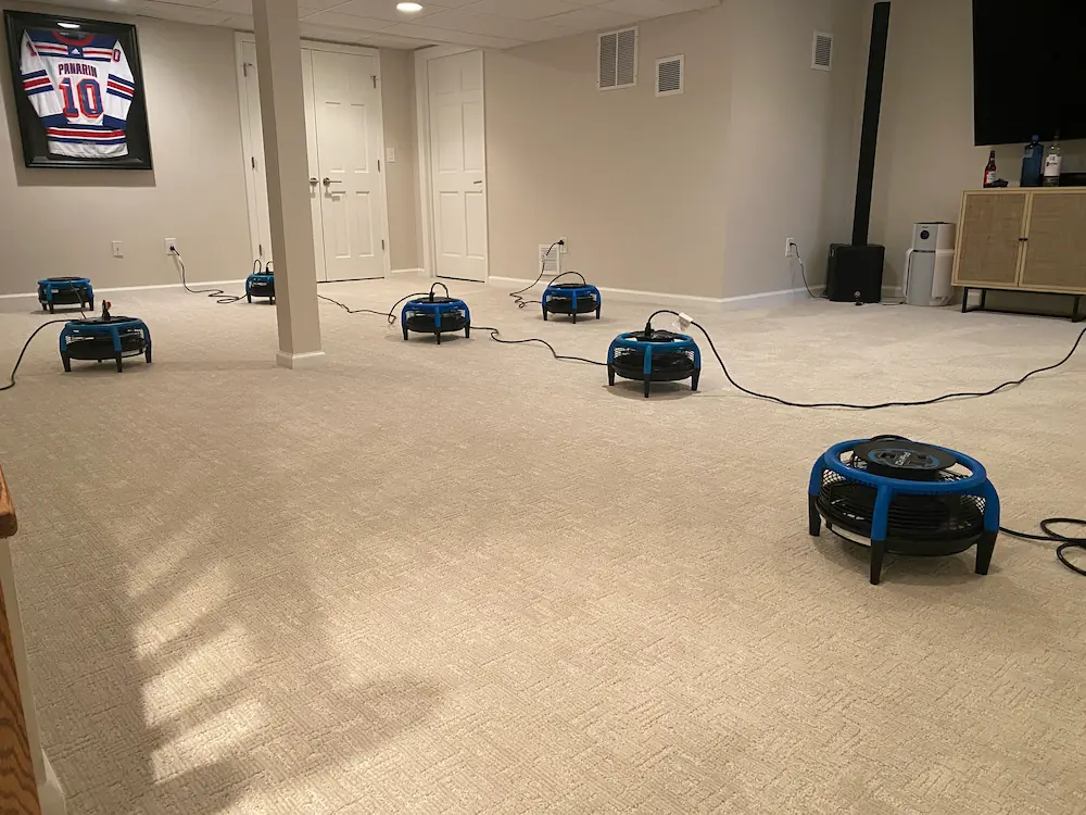 Finished basement carpet drying with air movers after pet odor removal in a Monmouth County, NJ home