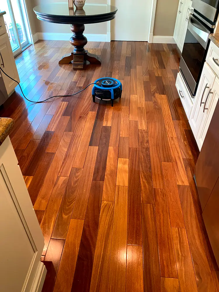 Brazilian cherry hardwood floor in a kitchen after a screen and recoat in a Monmouth County, NJ home