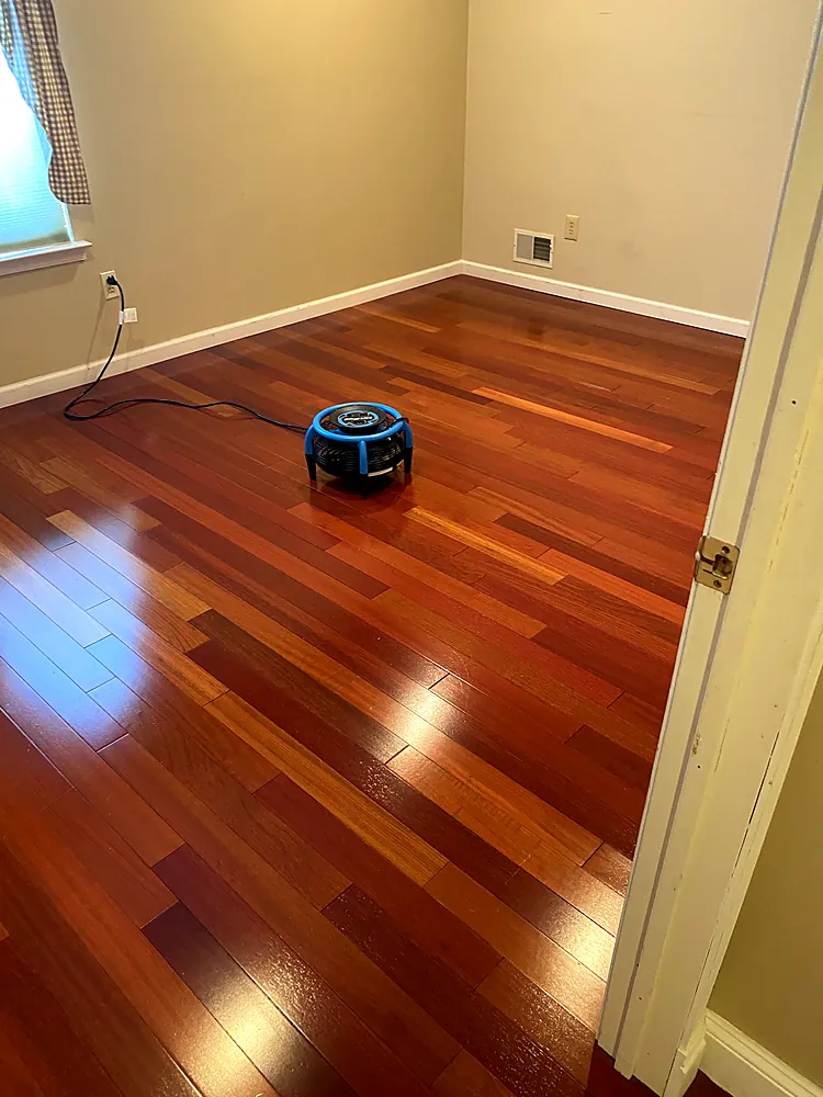 Hardwood floor after a screen and recoat, seen from the doorway of a Monmouth County, NJ home