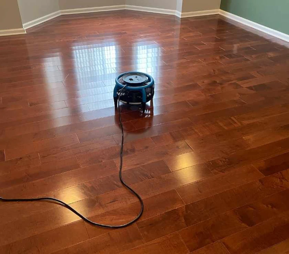 Air mover drying a hardwood floor after a screen and recoat in a Monmouth County, NJ home
