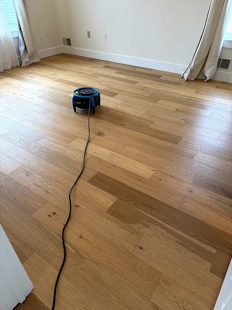 White oak floor drying with an air mover after hardwood floor cleaning