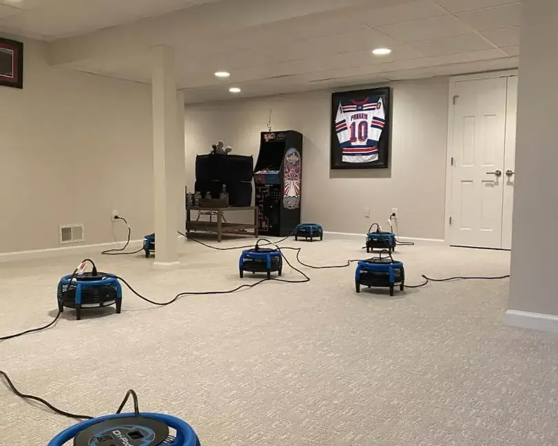 Pet odor removal with drying equipment in a Monmouth County, NJ basement