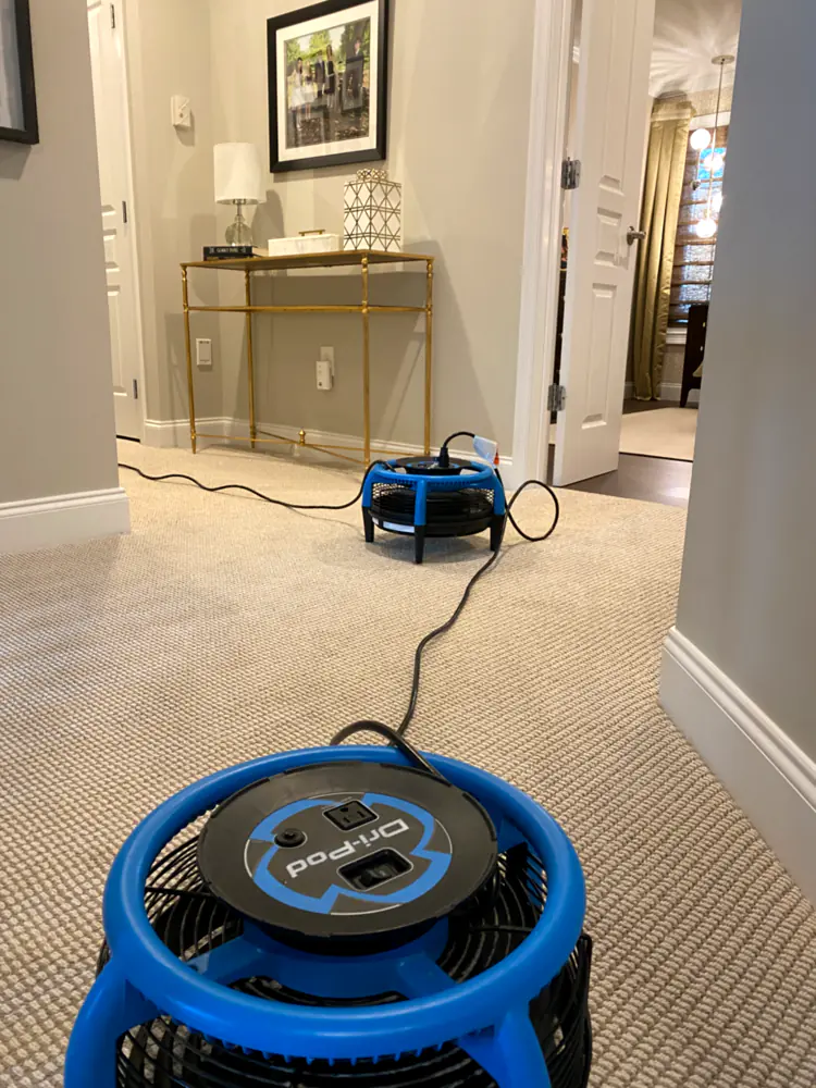 Berber hallway carpet drying with air movers after pet odor removal in a Monmouth County, NJ home