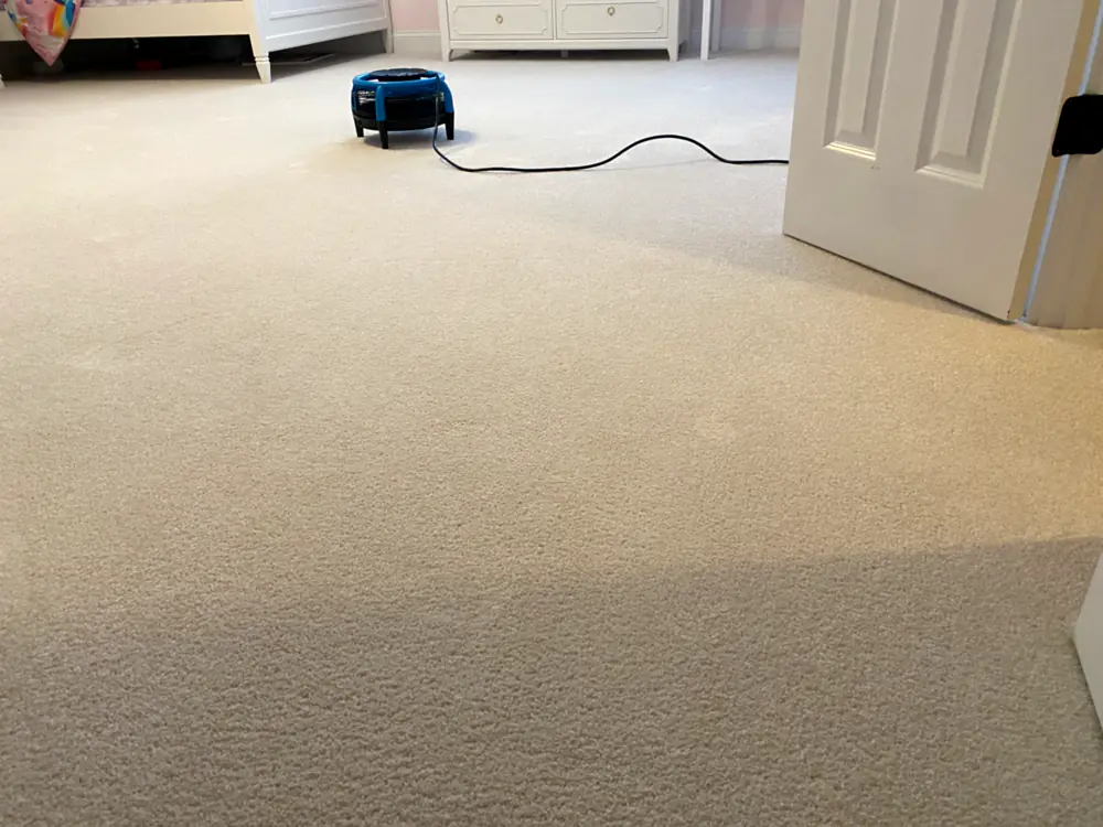 Kids bedroom carpet drying with an air mover after pet odor removal in a Monmouth County, NJ home