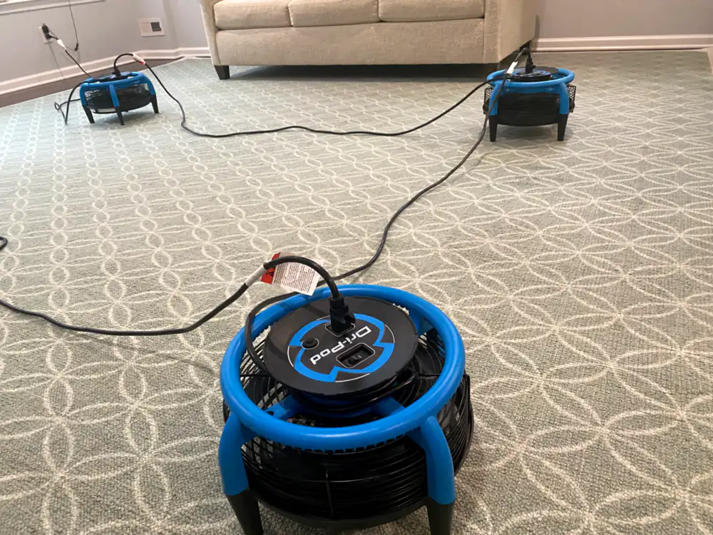 Patterned carpet drying with air movers after pet odor removal in a Monmouth County, NJ living room