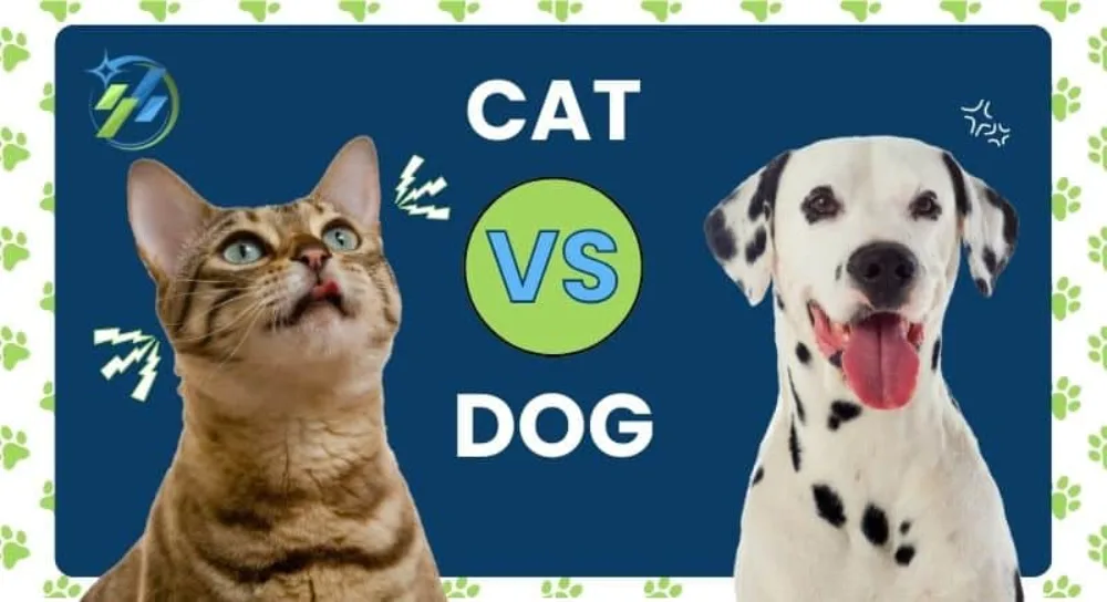 Illustration of a cat and a Dalmatian on either side of a green VS badge, comparing why cat urine smells stronger and lasts longer than dog urine