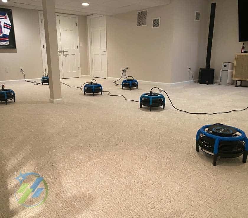 Carpet Cleaning in Monmouth County, NJ