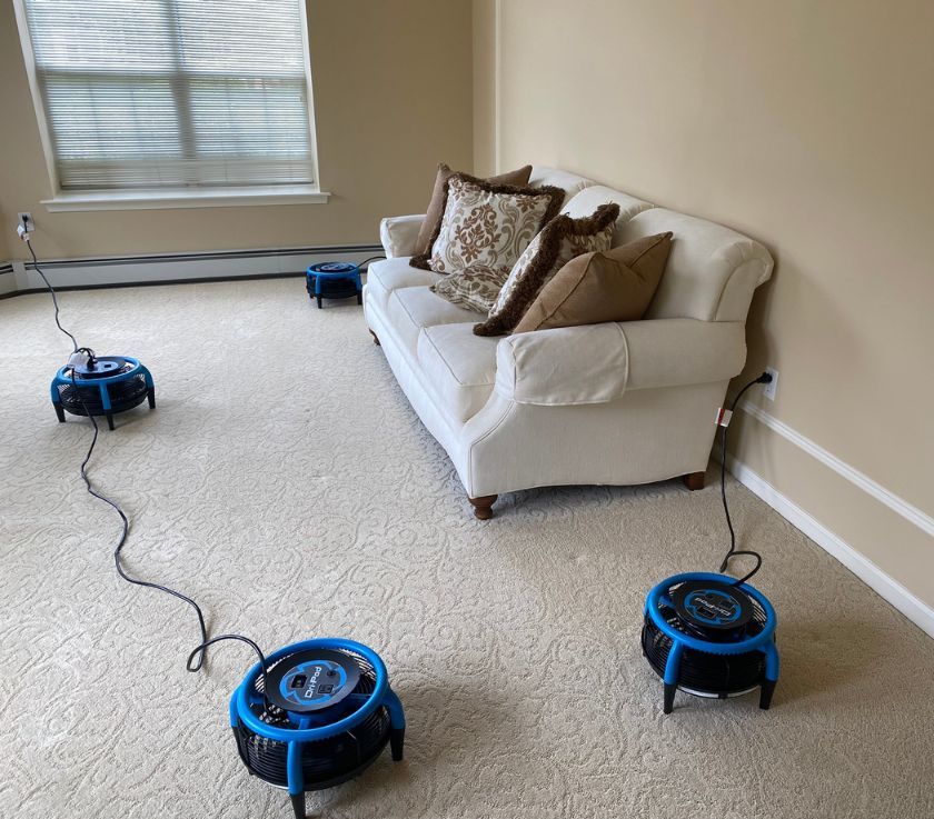Carpet Cleaning Result in Howell Township 1