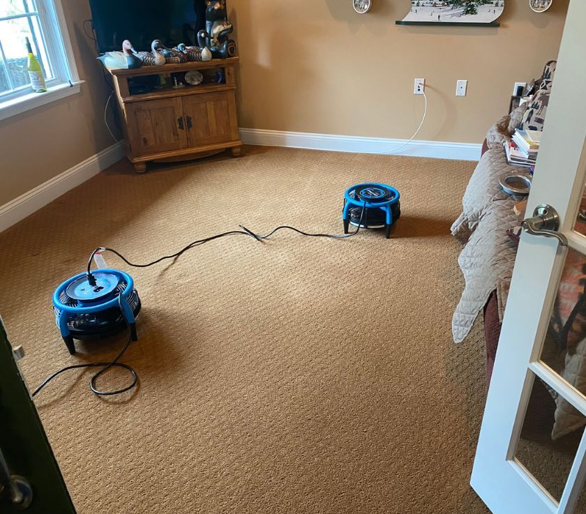 Carpet Cleaning Result in Howell Township 2