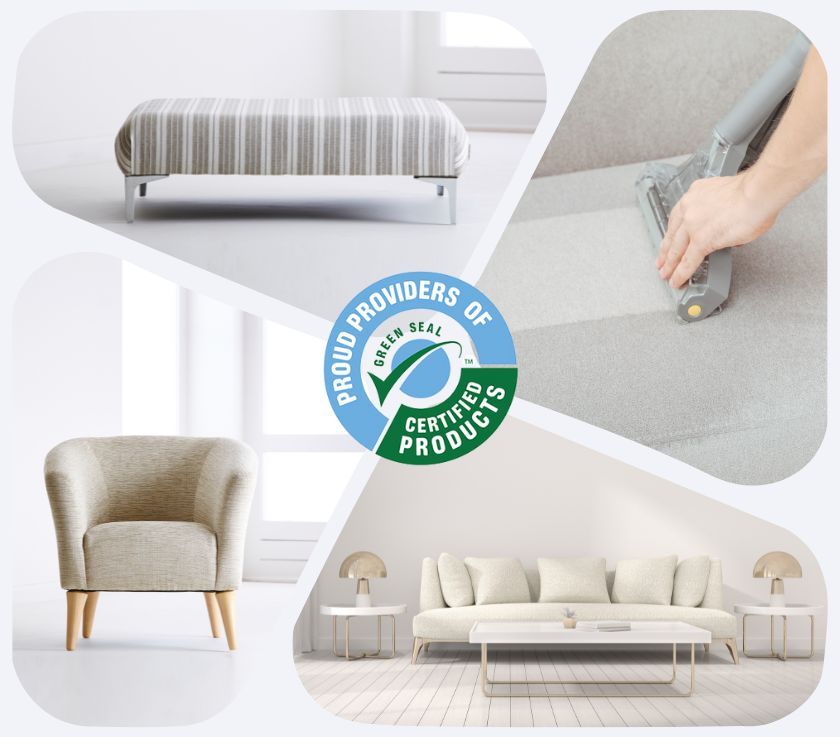 Upholstery Cleaning Services in Brick