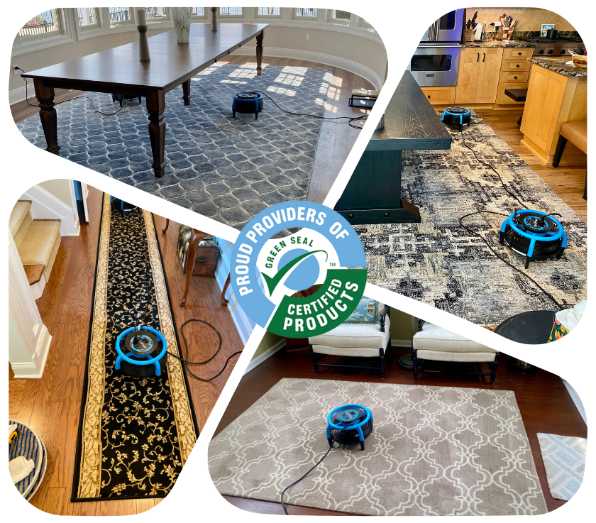 Area Rug Cleaning Services in Oakhurst