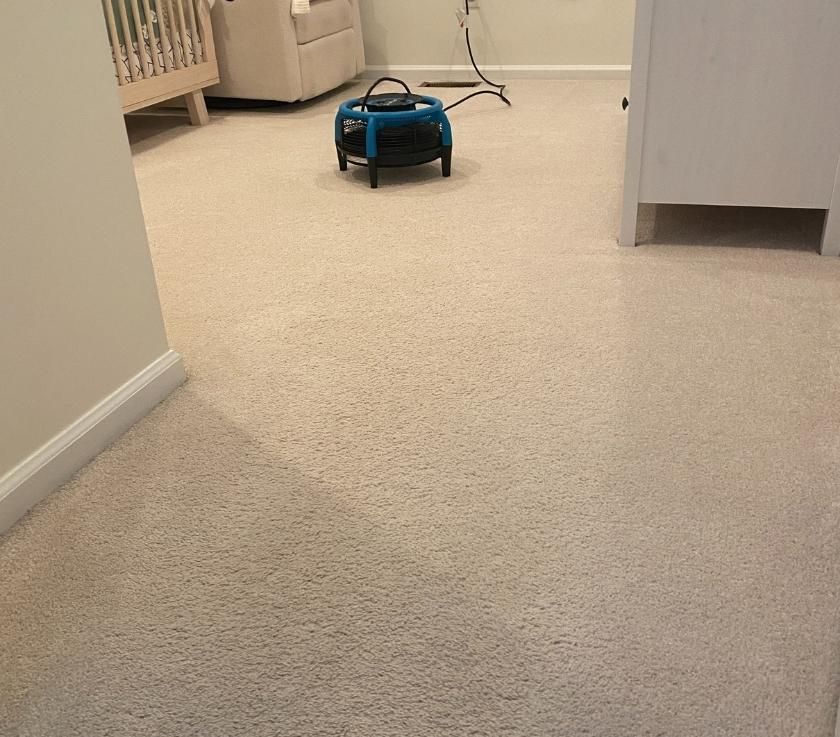 Carpet Steam Cleaning in Brick NJ