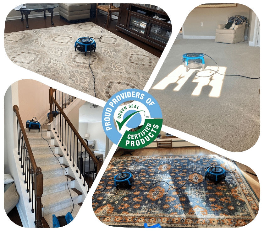 Carpet Cleaning In Howell Nj 1