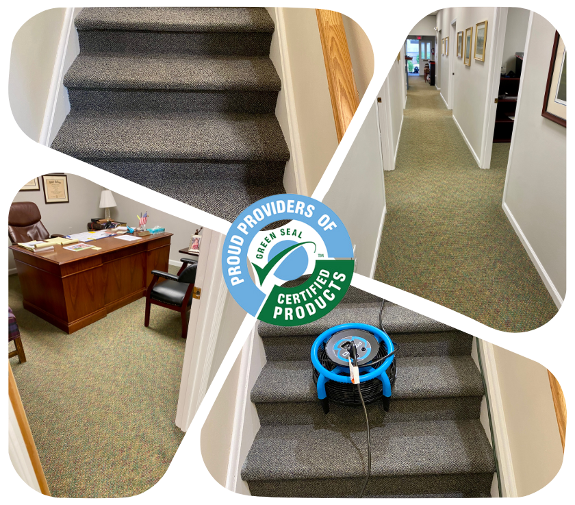 Commercial Carpet Cleaning  Services in Spring Lake 1