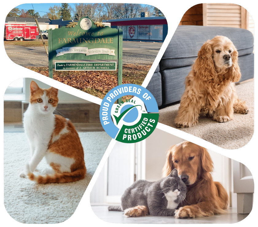 Pet Odor Treatment in Farmingdale NJ