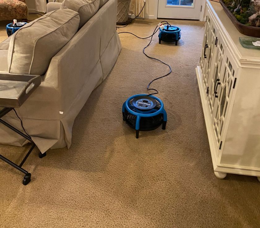 Carpet Cleaning Result in Howell Township 5