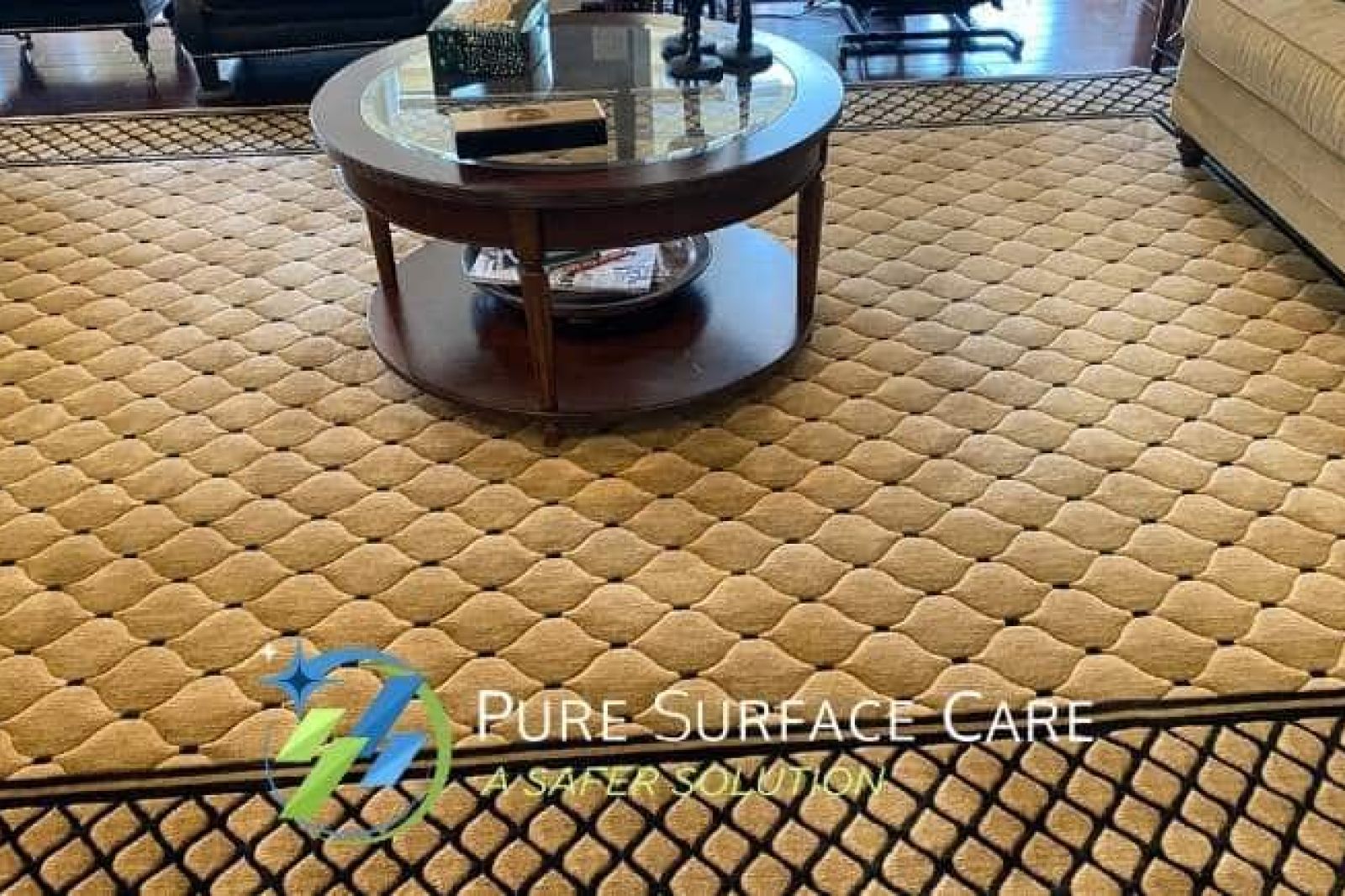 Pure Surface Care- Safe Carpet Cleaning