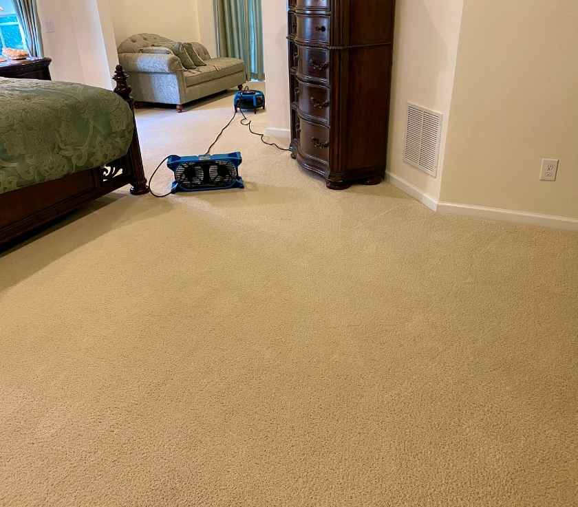 Carpet Cleaning Near Me in Farmingdale, NJ – Pure Surface Care