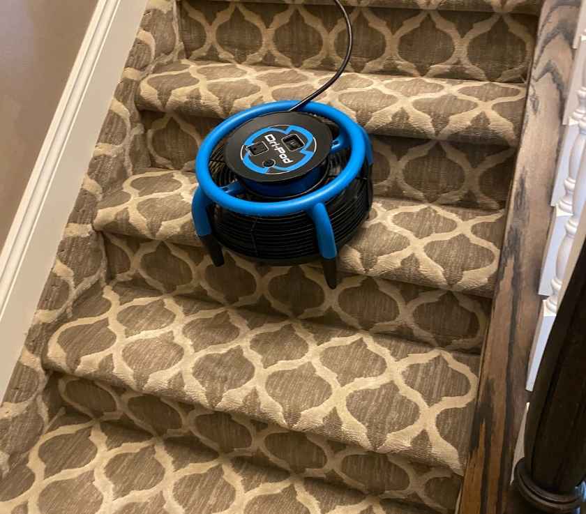 Carpet stairs cleaning in Freehold NJ