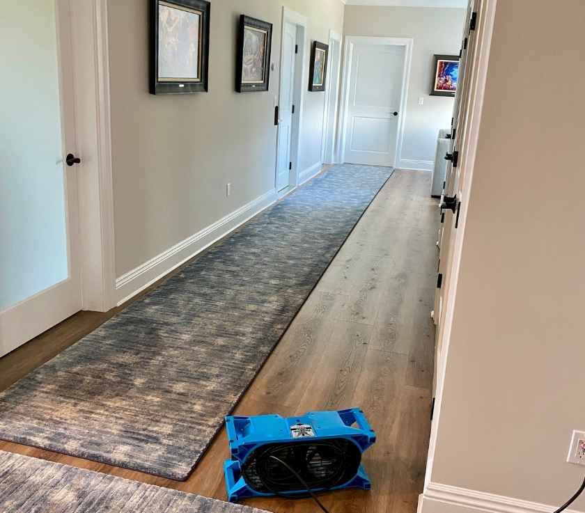 Carpet Cleaning Near Me in Rumson, NJ – Pure Surface Care