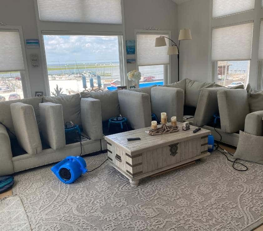 Pure Surface Care Pet Odor Removal Service