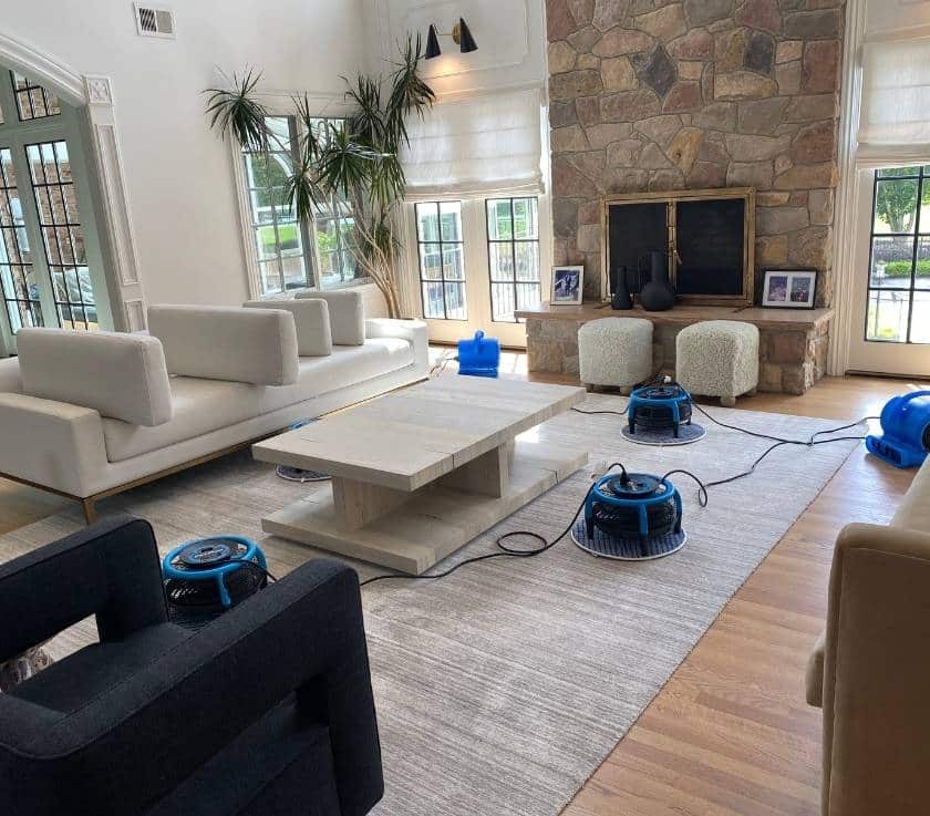 Couch and arm chair cleaning by pure surface care