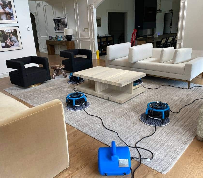 Fine Fabric Upholstery Cleaning by Pure Surface Care