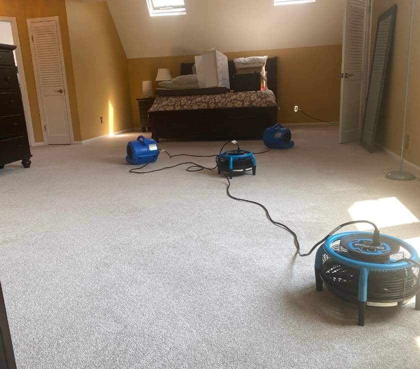 Carpet Deep Cleaning by Pure Surface Care
