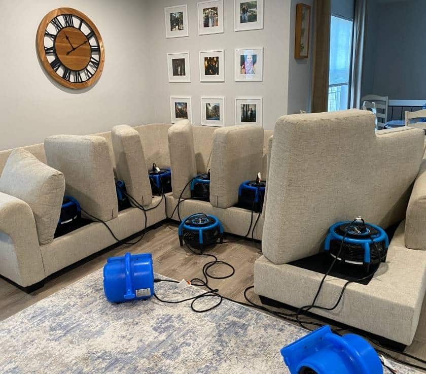 Pure Surface Care Pet Odor Removal Service