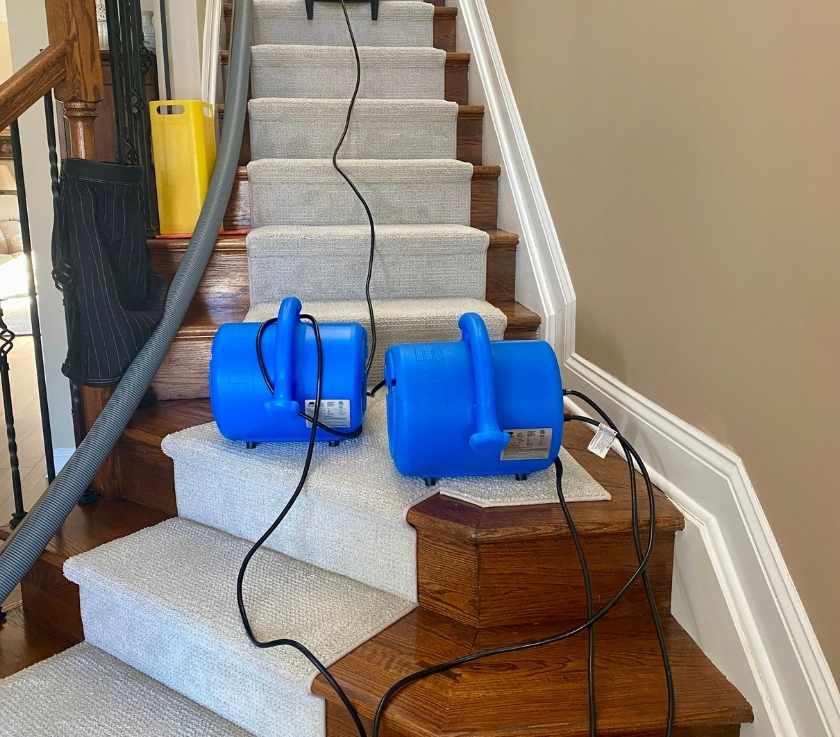 Removing Pet Odor From Carpeted Stairs by Pure Surface Care