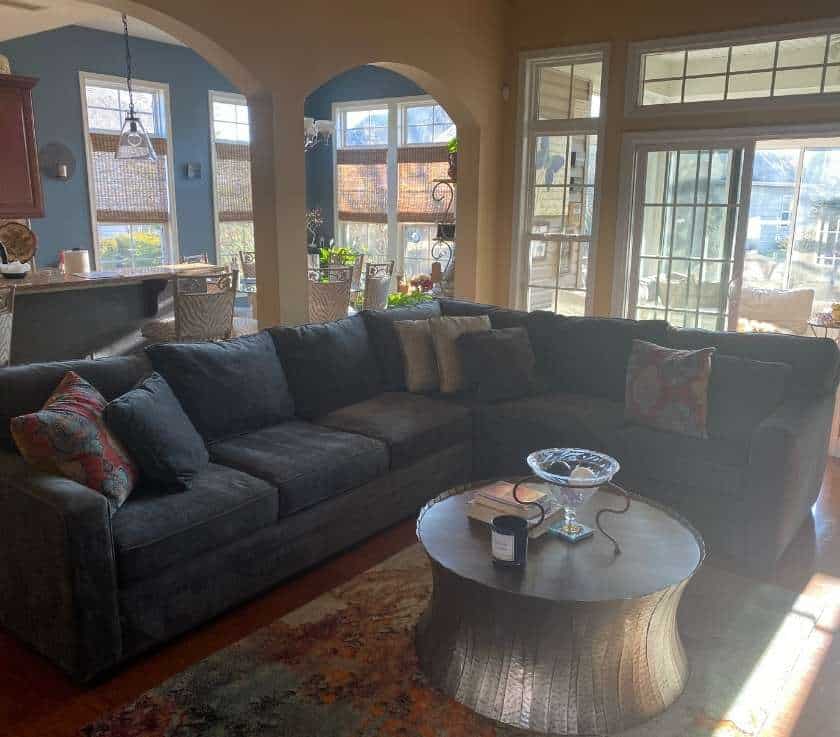 Pure Surface Care Pet Odor Removal Service