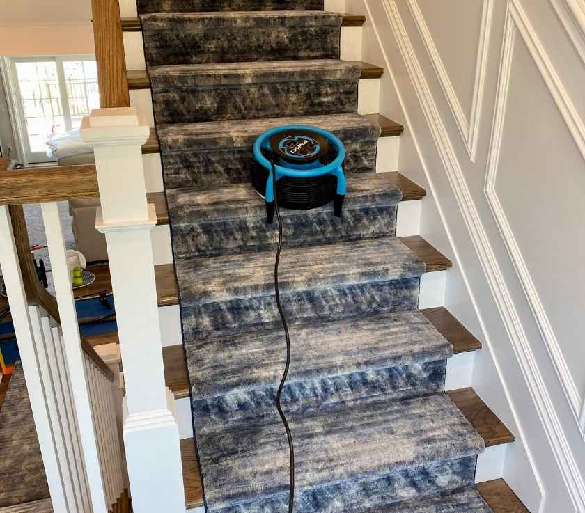 Pet Stain Removed from a Carpeted Stairs