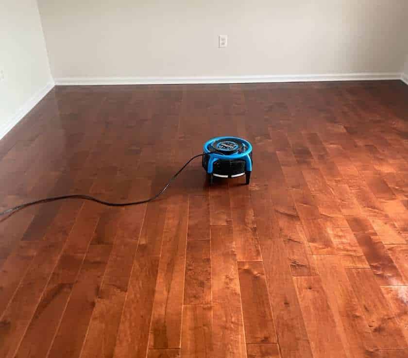 Our Hardwood Floor Cleaning is Sae and Dry Fast. Pure Surface Care
