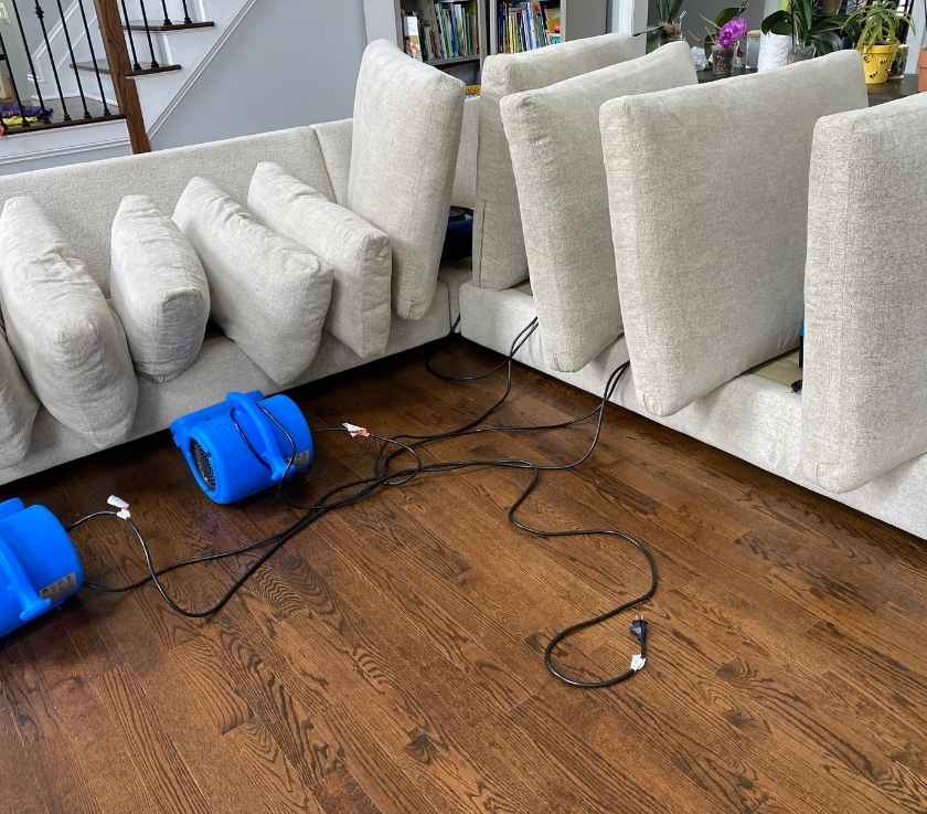 Pure Surface Care Cleans Sectionals