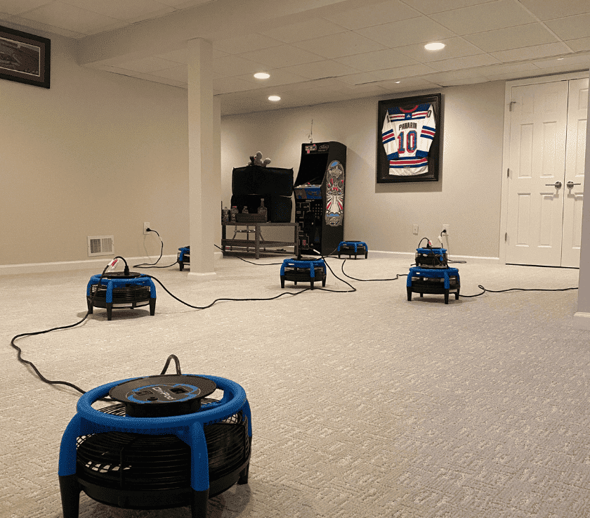 Pet Odor and Urine Removal by Pure Surface Care