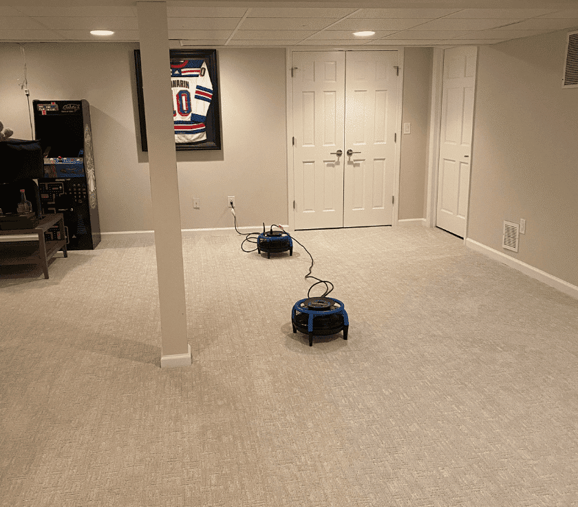 Carpet Cleaning and Pet Odor Removal by Pure Surface Care