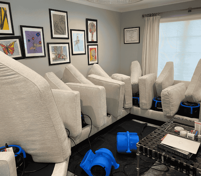 Pure Surface Care Upholstery Cleaning and Fast Drying