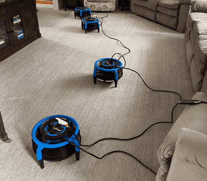 Pet Odor and Urine Removal in Freehold, NJ