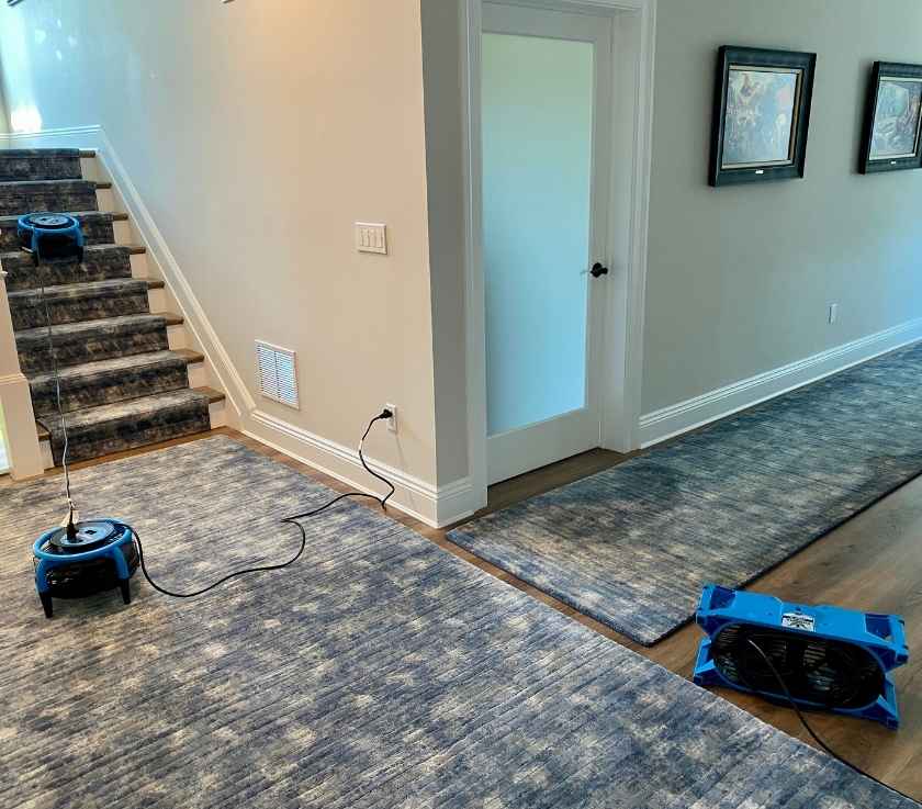 Quality carpet cleaning in a home in Rumson NJ