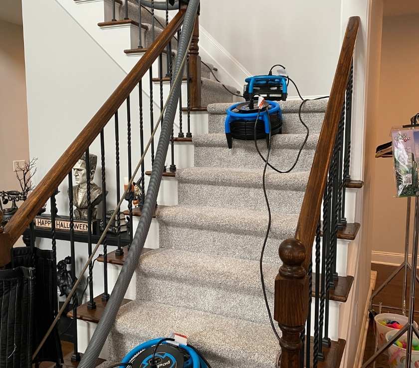 Pet Stain Removal from Carpeted Stairs